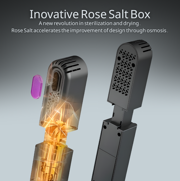 Electric Shoe Dryer and Deodorizer