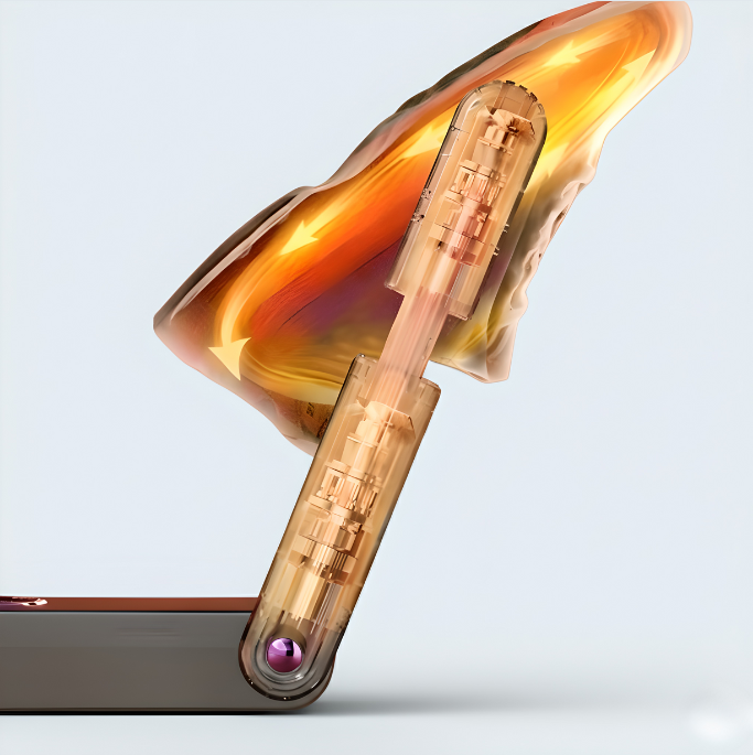 Electric Shoe Dryer and Deodorizer